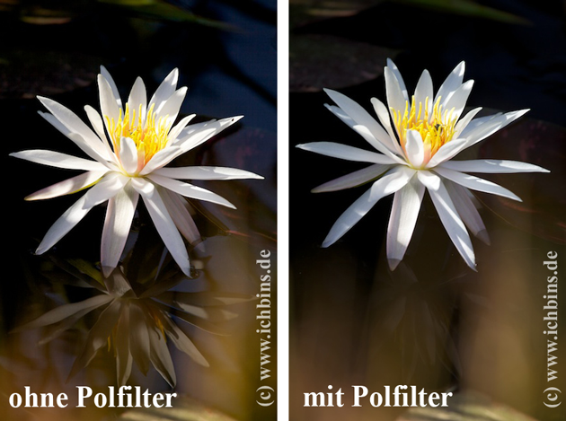 polfilter_spiegelung